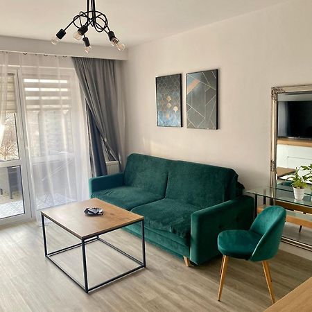 Apartament Na Skrzypka เชียซึน ภายนอก รูปภาพ