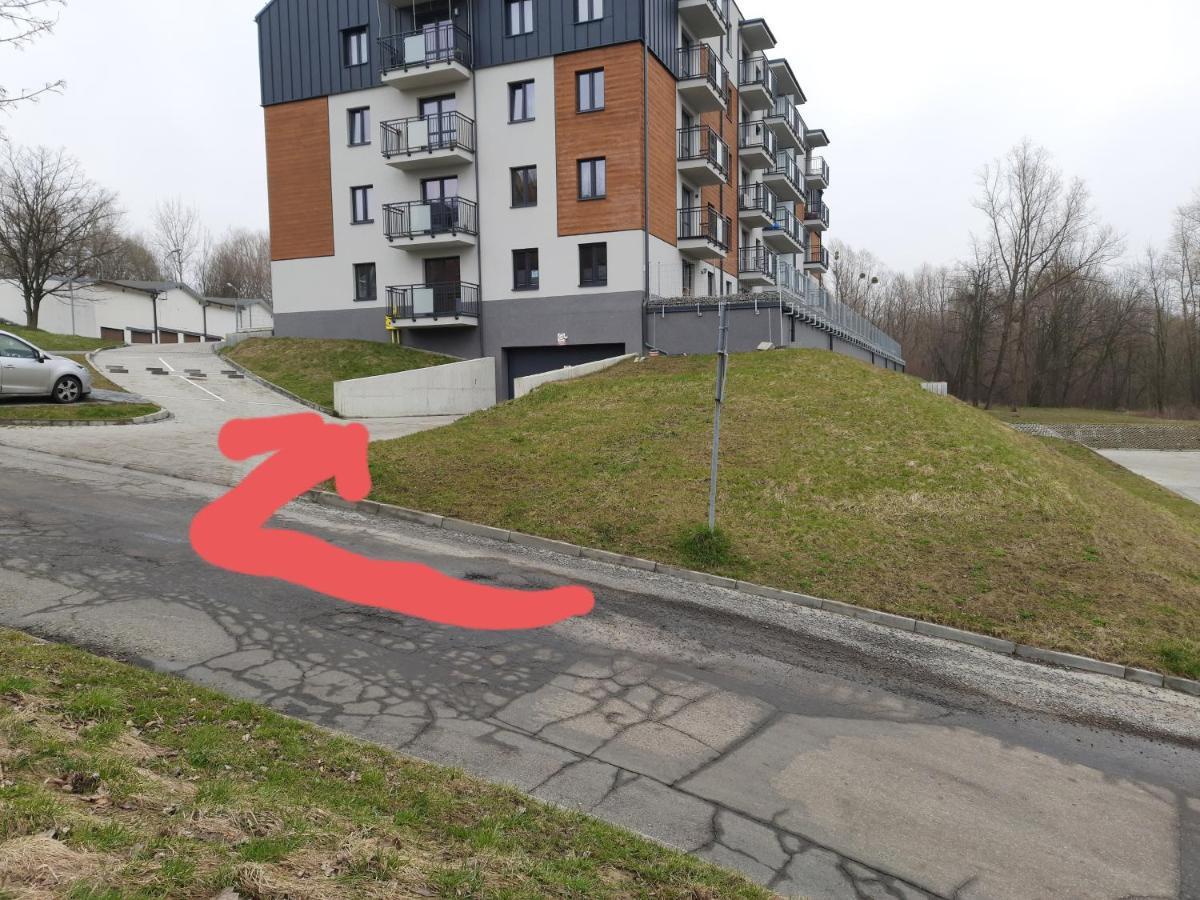 Apartament Na Skrzypka เชียซึน ภายนอก รูปภาพ